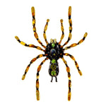 trendy green spider brooch