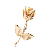 rose gold brooch