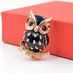 Curious Owl Bird Brooch