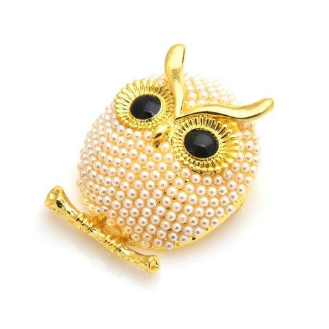 Curious Eyes Bird Brooch