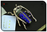 Egyptian Blue Beetle Brooch