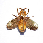 White Pearl Bee Brooch