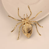 Crystal Clear Spider Brooch