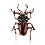Hazelnut beetle brooch