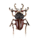 Hazelnut beetle brooch