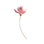 rose flower brooch guilty pleasure